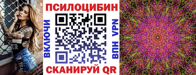 Псилоцибиновые грибы мицелий  купить   MEGA tor  Узловая 